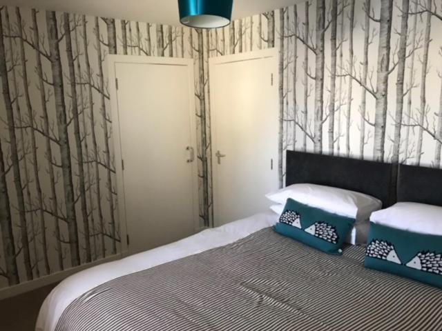 Thurso Self Catering Pet Friendly Holiday Lets Buitenkant foto
